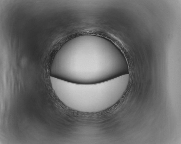 X0000114731447200910211053