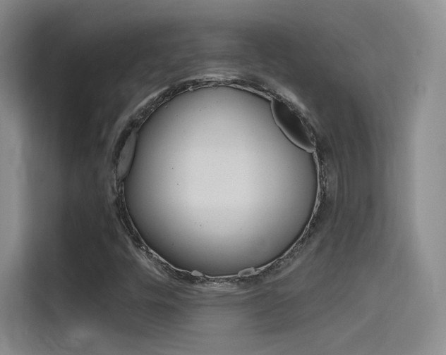 X0000114731448200910211053