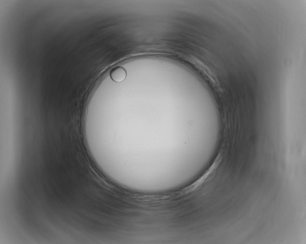 X0000114731449200910211053