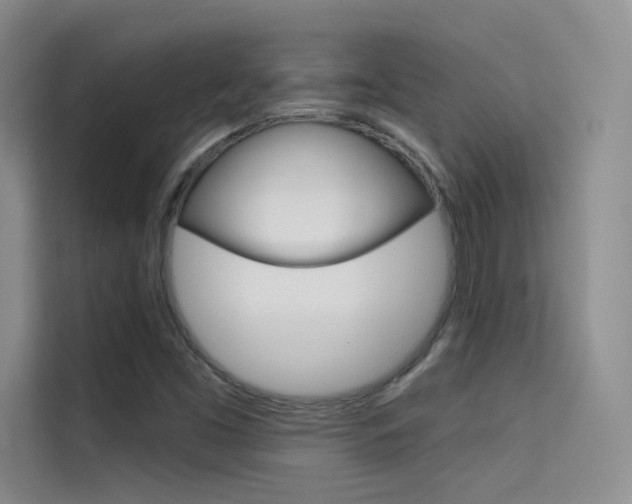 X0000114731453200910211053