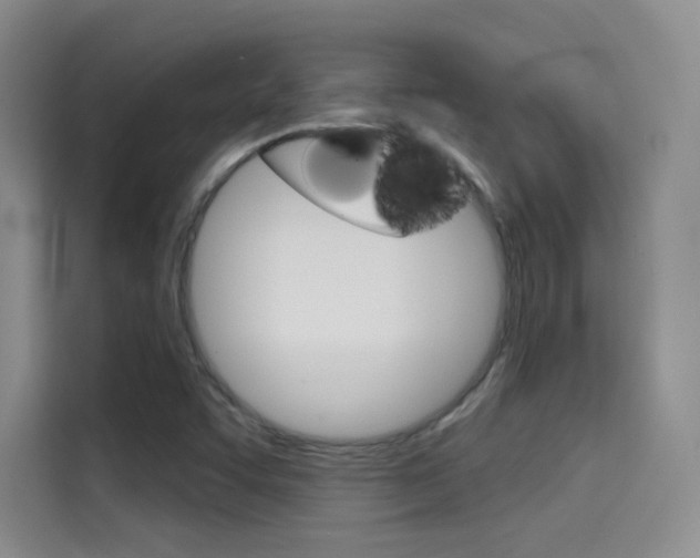 X0000114731455200910211053