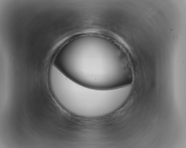 X0000114731456200910211053