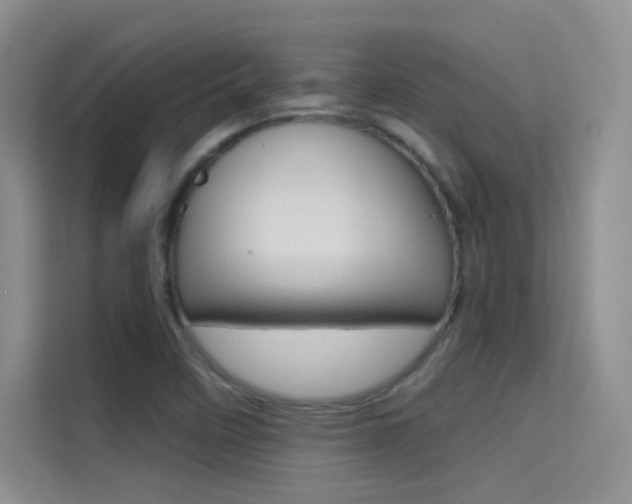 X0000114731458200910211053