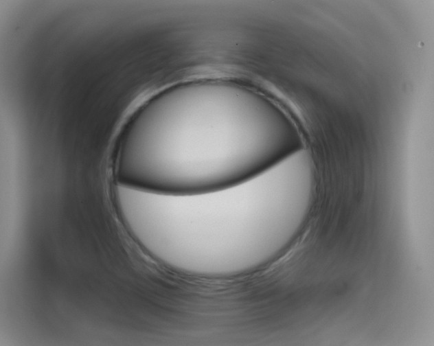 X0000114731459200910211053