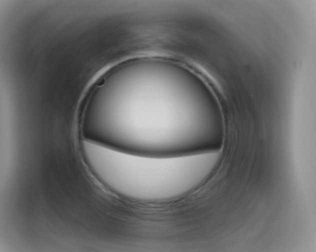 X0000114731460200910211053