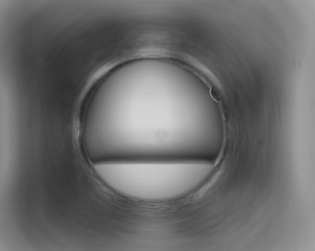 X0000114731461200910211053