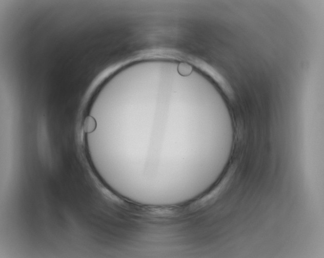 X0000114731462200910211053