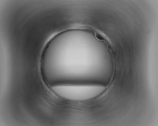 X0000114731463200910211053