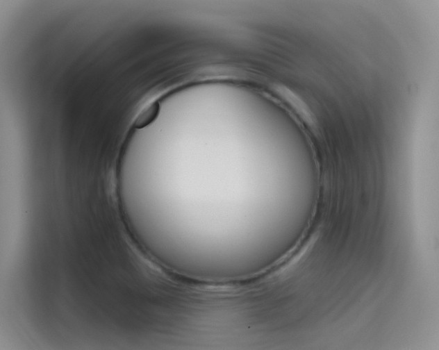 X0000114731465200910211053