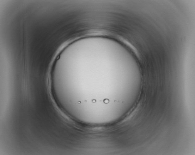 X0000114731467200910211053