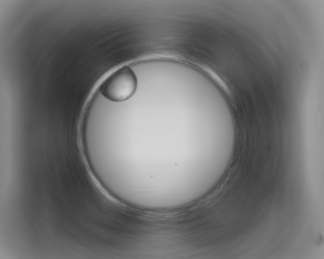 X0000114731468200910211053