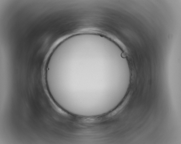 X0000114731470200910211053