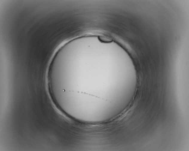 X0000114731471200910211053