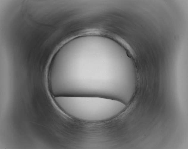 X0000114731475200910211053
