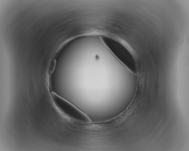 X0000114731476200910211053