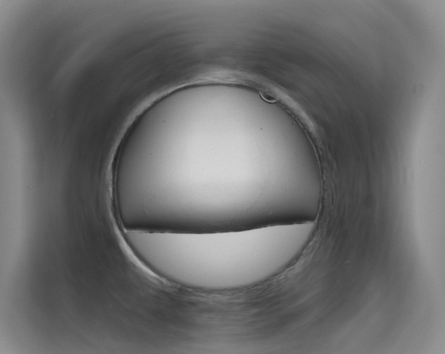 X0000114731479200910211053