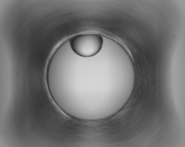 X0000114731480200910211053