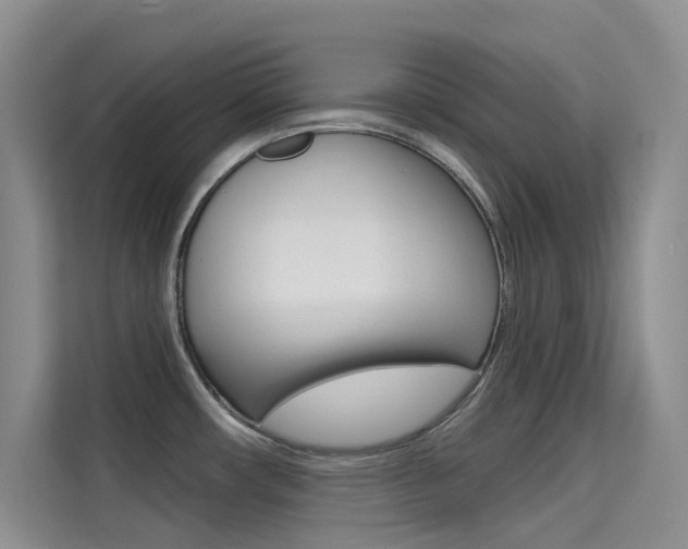 X0000114731482200910211053