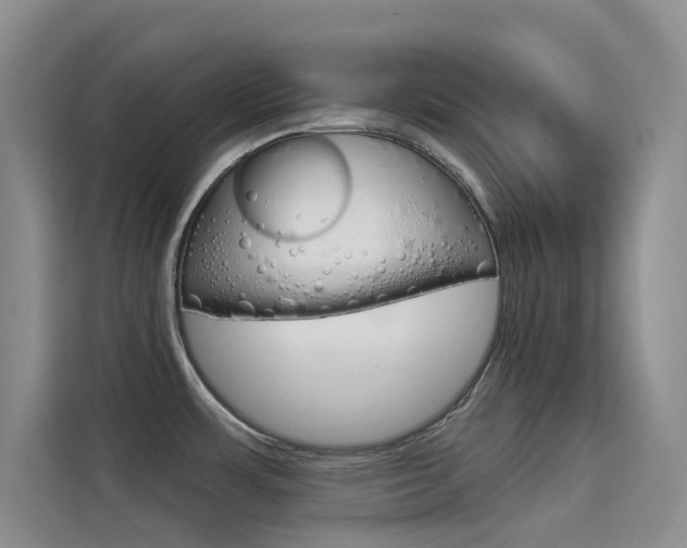 X0000114731483200910211053