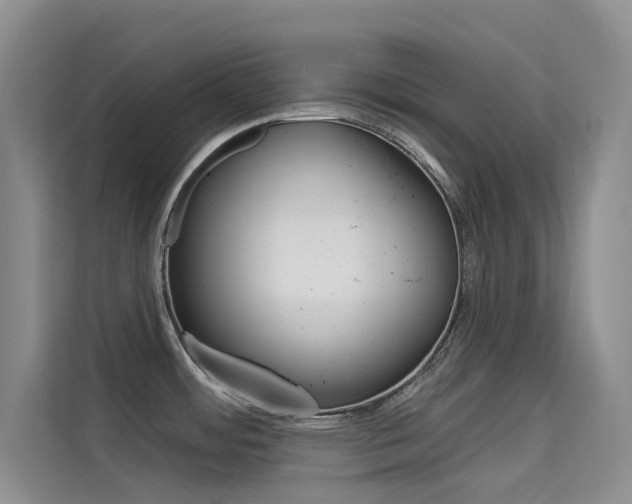 X0000114731484200910211053