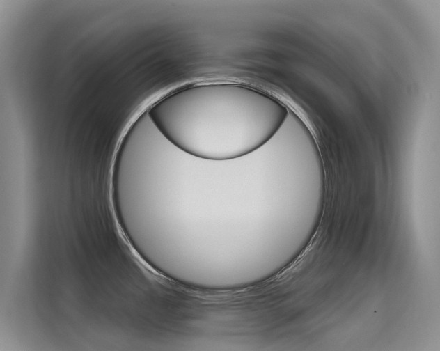 X0000114731485200910211053