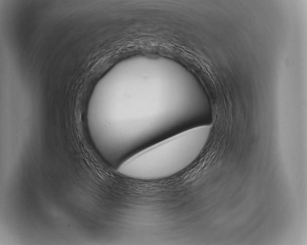 X0000114731489200910211052