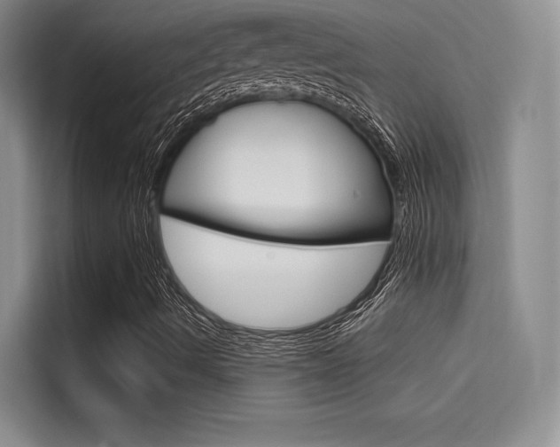 X0000114731490200910211052
