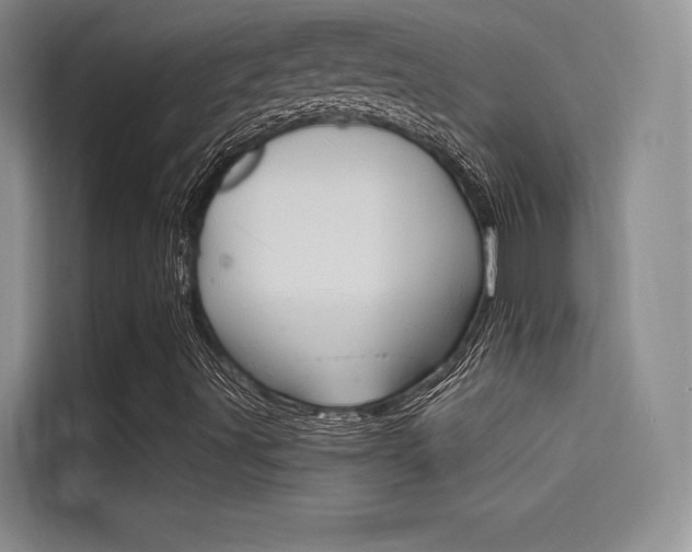 X0000114731491200910211052