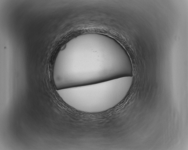 X0000114731493200910211052
