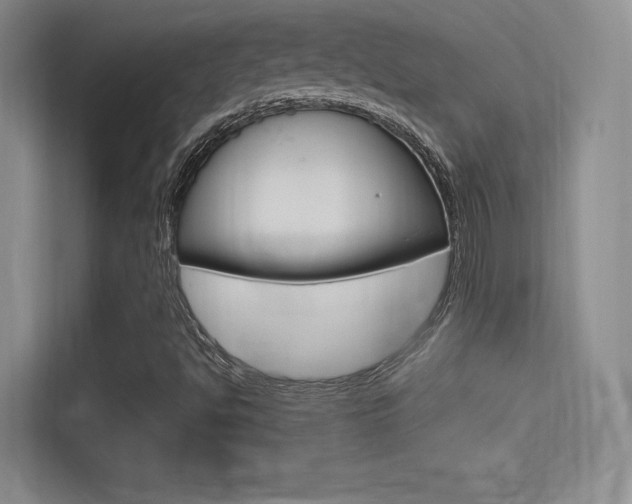X0000114731494200910211052