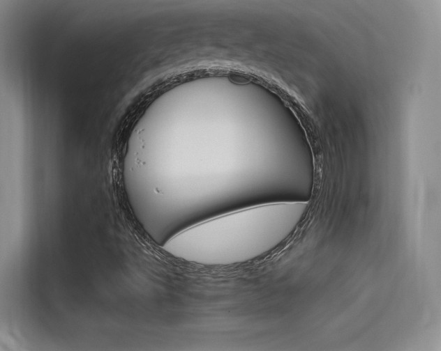 X0000114731495200910211052