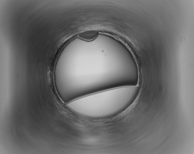 X0000114731497200910211052