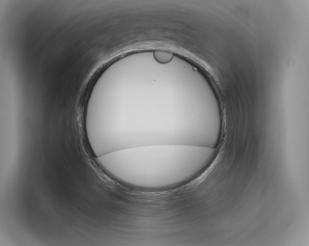 X0000114731498200910211052