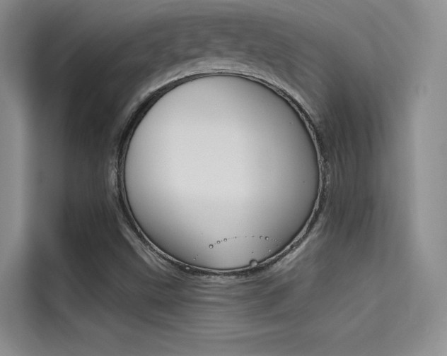 X0000114731499200910211052