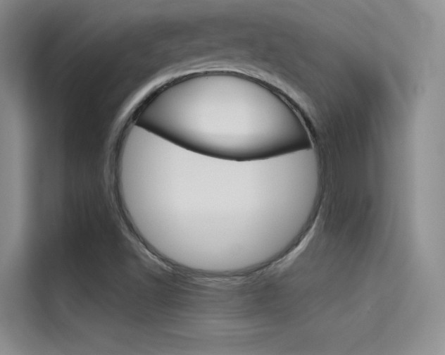 X0000114731502200910211052