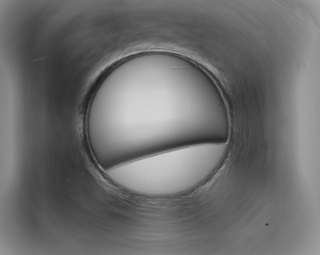 X0000114731503200910211052
