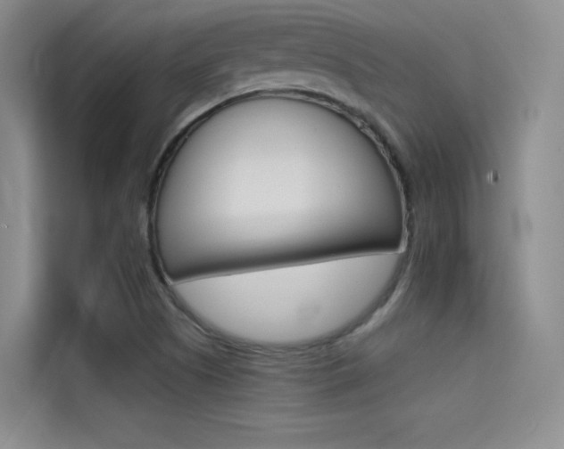 X0000114731505200910211052