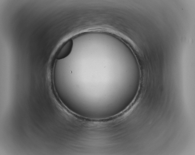 X0000114731506200910211052