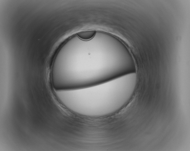 X0000114731507200910211052