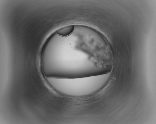 X0000114731511200910211052