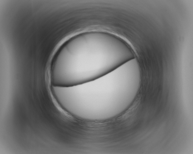 X0000114731515200910211052