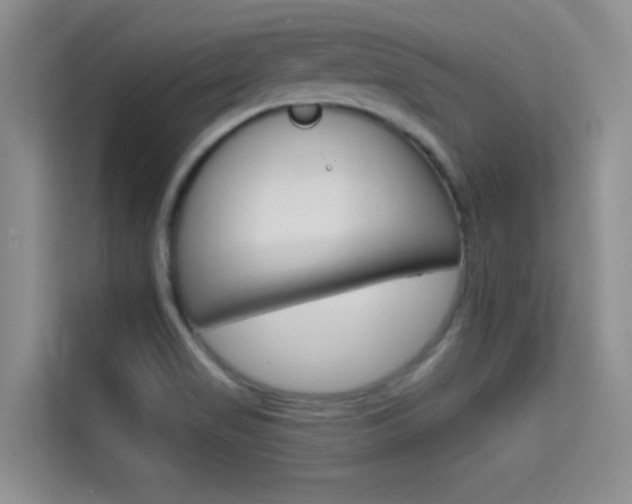 X0000114731517200910211052