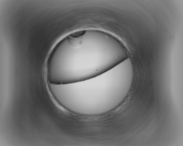 X0000114731519200910211052