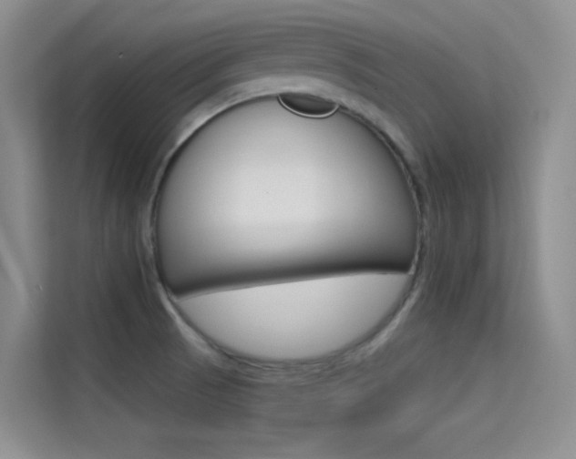 X0000114731521200910211052