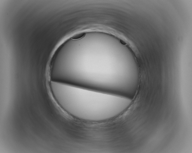 X0000114731522200910211052