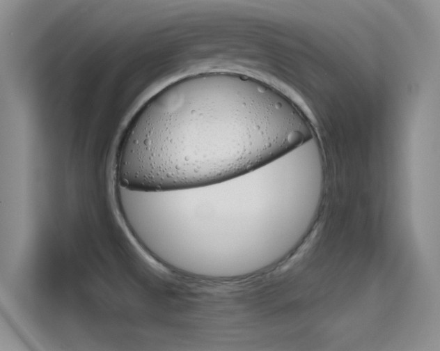 X0000114731525200910211052