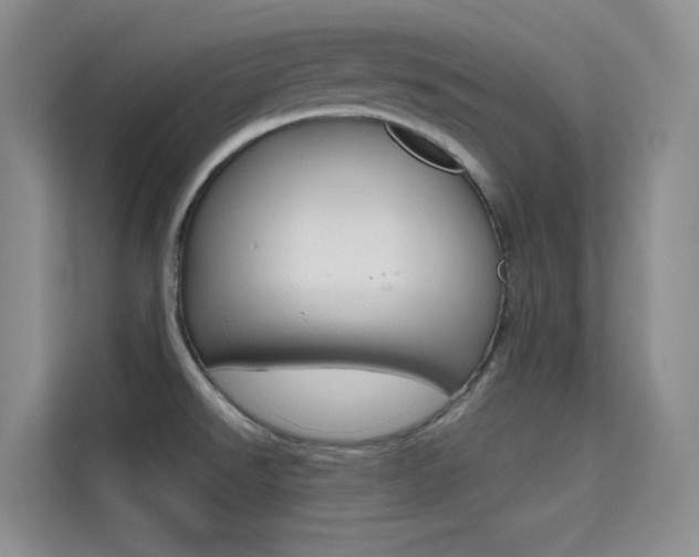 X0000114731526200910211052