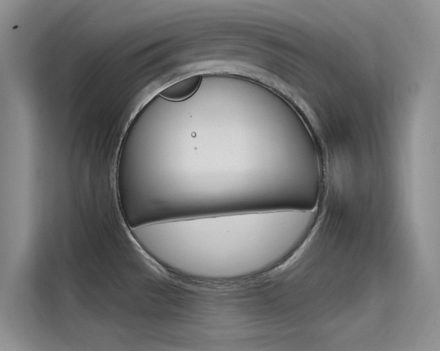 X0000114731529200910211052
