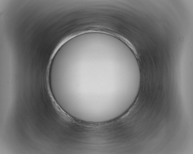 X0000114731530200910211052