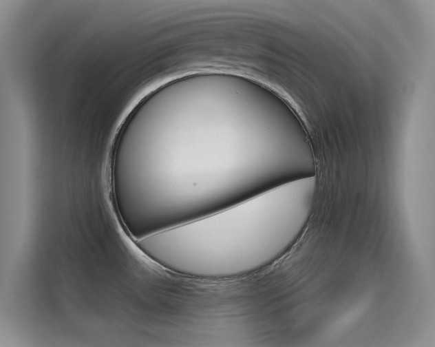 X0000114731531200910211052